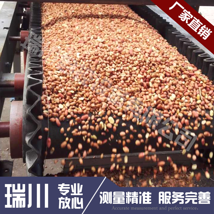 定量給料機的電子皮帶秤誤差體現在哪里