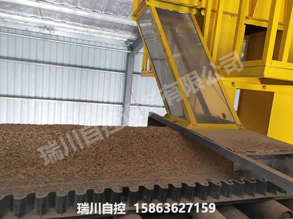 皮帶現場5.jpg