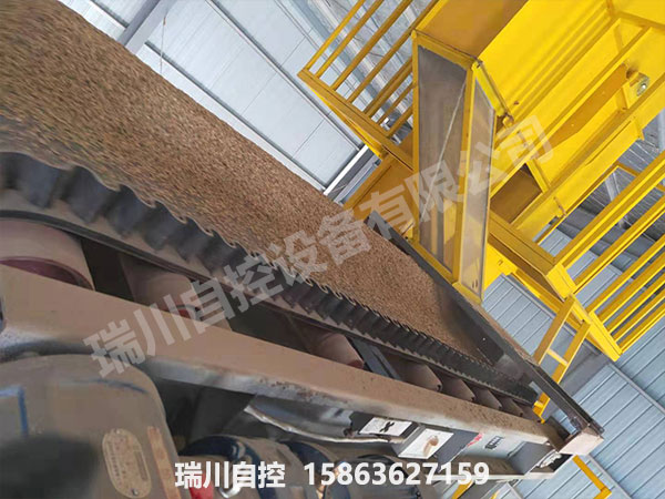 皮帶現場4.jpg