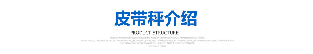 皮帶秤介紹