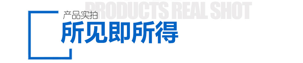 皮帶秤展示