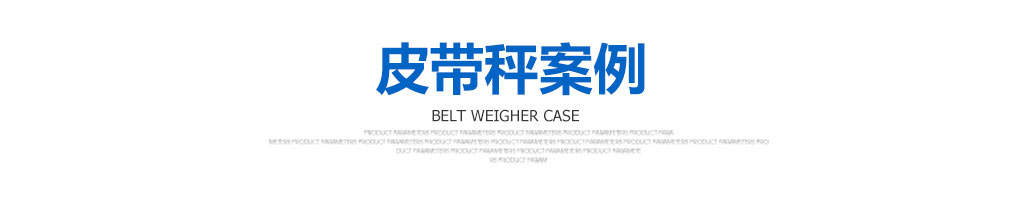 皮帶秤案例