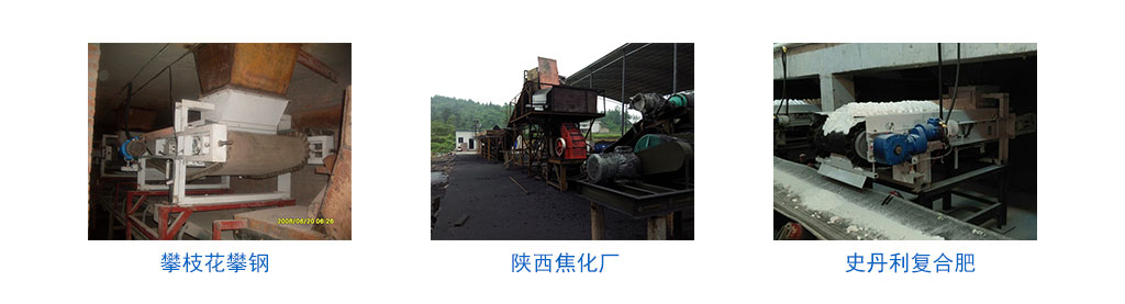 皮帶秤案例
